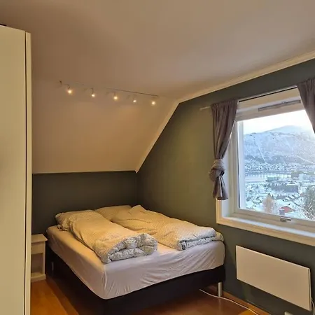 Appartement Stor Naert Sentrum Med Nydelig Utsikt! *